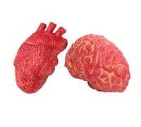 KOMBIUDA 2 Pz Cuore Sanguinante Halloween Organo del Corpo di Halloween Orribile Sostegno del Cuore Organo del Corpo Sanguinante Finto Cervello Umano Cuore Umano Rosso Corpo Umano Ornamento