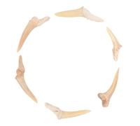 KOMBIUDA 6 pezzi Collana Dente Squalo Fossile Fatti Mano per Party Spiaggia Quotidiano