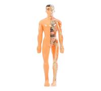 KOMBIUDA Giocattolo Didattico di Anatomia e Fisiologia Umana per Modello Traslucido Organi Rimovibili e Struttura Scheletrica Puzzle Educativo per Apprendimento Interattivo e Sviluppo