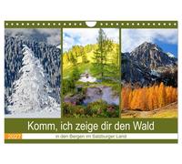Komm, ich zeige dir den Wald (Wandkalender 2027 DIN A4 quer), CALVENDO Monatskal