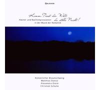 Komm,Trost der Welt,du Stille Nacht!