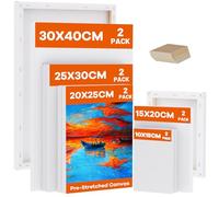 Koncci Tela per Dipingere, 10 Pacchetti 5 Dimensioni Set Tele, 10x15, 15x20, 20x25, 25x30, 30x40cm, 280GSM Tela di Legno Allungata per Acquerello ad Olio Acrilico, Artista e Principiante