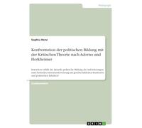 Konfrontation der politischen Bildung mit der Kritischen Theorie nach Adorno und Horkheimer: Inwiefern erfüllt die aktuelle politische Bildung die ... Strukturen und politischen Inhalten?