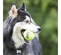 KONG SQUEAKAIR TENNIS BALL TG. X-LARGE