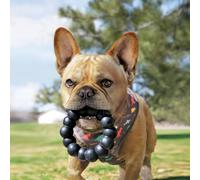 KONG EXTREME RING XL