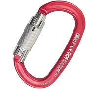 KONG Blocco Auto OVALONE