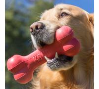 KONG Classico Goodie Bone S