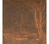 Kongh Counting Heartbeats (CD) Album