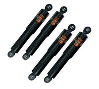 Ammortizzatore di Anika Classic Frontale Singolo per MG Mg-B Gt Coupe MG