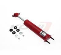 Ammortizzatore di Anika Classic Anteriore + Posteriore per Ford America MUSTANG