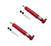 KONI Classic Posteriore 2x80-1953 Ammortizzatori