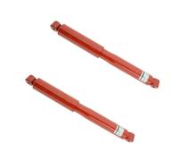 KONI Heavy Track Assale Posteriore 2x82-2596 Ammortizzatori
