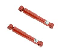 KONI Heavy Track Asse Posteriore 2x82-2571 Ammortizzatori