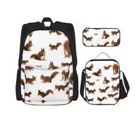 KoNsev Cute Squirrels 3pcs Zaini 40,6 cm Scuola Prescolare Bookbag e Lunch Box per bambini elementari, Nero , Taglia unica, Set di zaini per la scuola