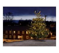 Konstsmide 1015 - 020 catena albero LED con/albero/per esterni (IP44) bianchi Certificato VDE/Trasformatore esterno 24 V/One String/45 diodi a luce bianca calda/cavo verde