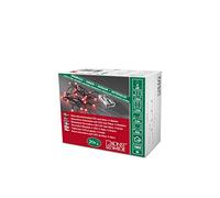 Konstsmide Luci LED su filo 1491-907 - a batteria, 20 punti luce, timer integrato - verde/rosso
