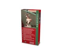 Konstsmide LED Babbo Natale con Stella, Timer 6H, 10 diodi a Luce Bianca Calda, Funzionamento a Batteria, per Interni, 2 x AA 1,5 V (Non Incluse), Colore: Rosso, Santa Scene
