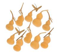 KONTONTY 10 Pezzi Wen Gioca a Mini Zucca Mini zucche Decorative Mini zucche Ornamentali Zucca secca Originale Ornamenti Desktop Zucca parà adornano Decorativa Zucca Naturale
