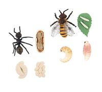 KONTONTY 2 Set Educativi Ciclo Set Simulazioni Api e per Giocattoli Cognitivi per Apprendimento Naturale e Divertimento