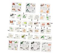 KONTONTY 7 Set Puzzle Educativo Del Ciclo Animali Didattico Interattivo per Sviluppare e Competenze Cognitive