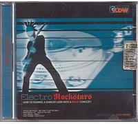 Kontrokorrente, Punk Division, Lady Brian, Vanguard, Nothern Lite, ecc... - Electro Rockstars, How to change a Dancefloor into a rock Concert
