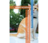 Konzentration in einer Stunde verstehen: Leben verstehen