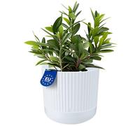 KONZEPT Vaso da fiori con sottovaso, diametro 16 cm, bianco, 2,4 l, vaso per piante scanalato in plastica