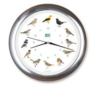 KOOKOO Singvögel cromo, l'orologio degli uccelli canterini, orologio da parete rotondo con richiami naturali di uccelli, movimento al quarzo