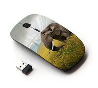 KOOLmouse [ Mouse Senza Fili Ottico 2.4G ] [ Happy Elephant ]