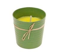Koopman Candela in vaso ecologico assortito, 1 pezzo per confezione