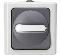 Kopp 560656006 1 pezzo Interruttore per ambienti umidi Completo Interruttore,
