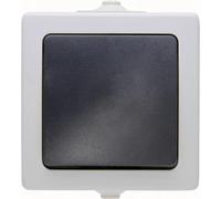 Kopp 565756004 Interruttore per ambienti umidi Interruttore a croce Nautic Gri