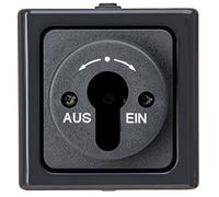 Kopp BLUE ELECTRIC 561715001 - Custodia per interruttore a chiave, colore: Antracite