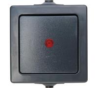 Kopp 566615003 Nautic 566615003-Interruttore di Controllo da Parete, per Ambienti umidi, 250 V (10 A), IP44, Antracite