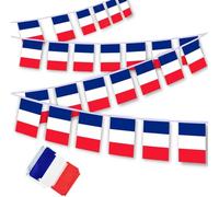 KOQAIIZ 10M 30 Pezzi Bandiera Francese,Bandiere Francese per Giochi Olimpici,Coppa del Mondo,Campionato Europeo di Calcio,Decorazioni per Bar,Club,Giardino