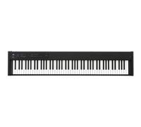 Korg D1 black - Spedizione Gratuita - Pronta Consegna