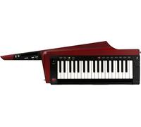 KORG RK-100S 2 RD