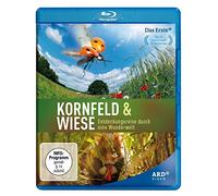 Kornfeld und Wiese - Entdeckungsreise durch eine Wunderwelt