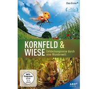 Kornfeld und Wiese - Entdeckungsreise durch eine Wunderwelt