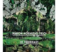Kornstad,Håkon - Im Treibhaus (Vinyl)