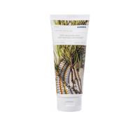 Korres Forest Cedar latte idratante corpo con olio di mandorle 200 ml