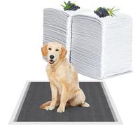 KORVORIA 60 Pezzi Tappetini Igienici per Cani, 60 x 90cm Tappetini al Carbone, 6 Strati Traversine per Cani, Tappetini Cane con Controllo Degli Odori