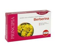 BERBERINA 60CPR 27G KOS