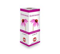 ECHINACEA SOL IAL PIANTA FR100