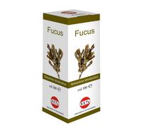 Kos FUCUS SOLUZIONE IDROALCOLICA 100 ML