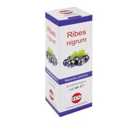 Kos Macerato Glicerico - Ribes Nigrum Gocce, 100ml