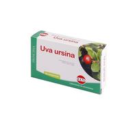 KOS Uva Ursina Compresse 4x60 pz Compresse