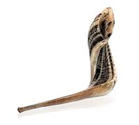 Kosher Kudu Shofar Horn da Israele 50,8 - 55,9 cm, tradizionale kudu shofar semi-lucido, include borsa per il trasporto, spazzola, spray anti odore e guida per soffiare, strumento musicale ebraico