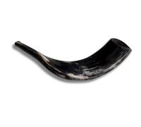 Kosher Lucido Ram's Horn Shofar da Israele Gerusalemme 14"-16" / 35 cm - 40 cm