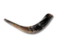 Kosher Lucido Ram's Horn Shofar da Israele Gerusalemme 16"-18" / 40 cm -50 cm
